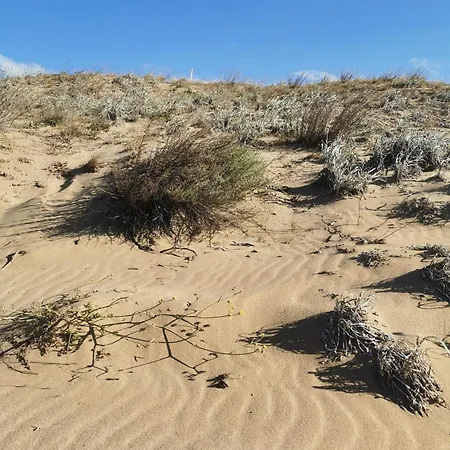 Lily - 408a 公寓 索佐波尔