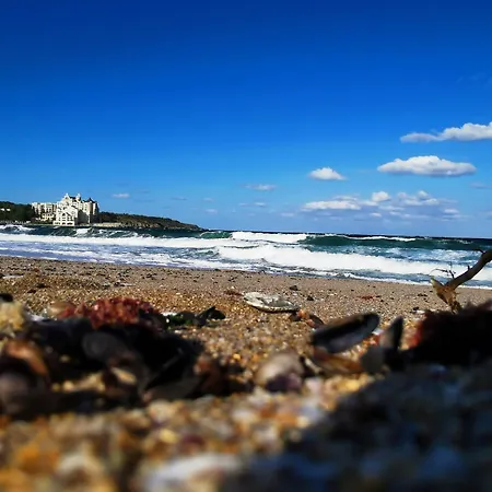 Lily - 408a Apartment *