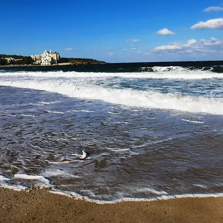 Lily - 408a Apartment