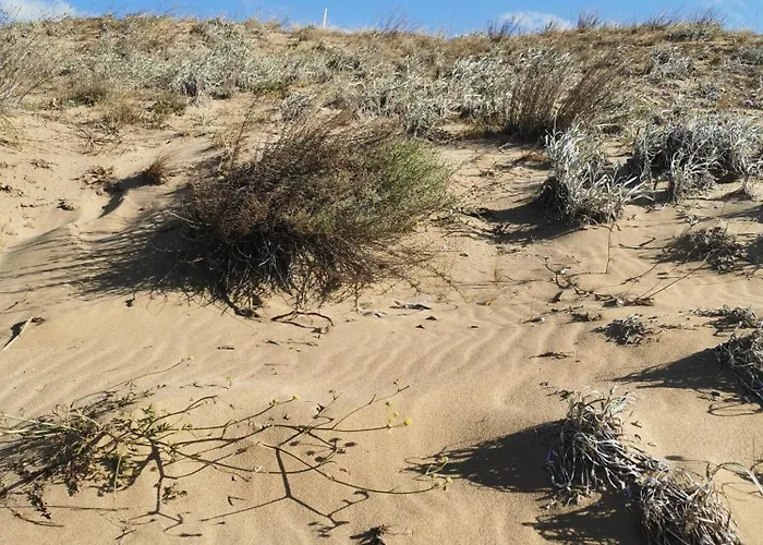 Lily - 408a Апартамент Созопол